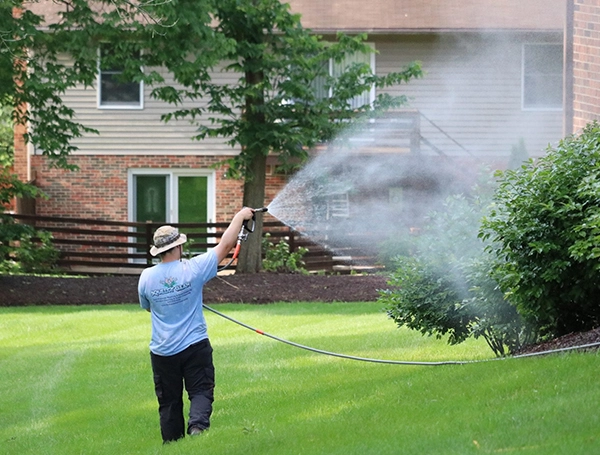Plant & Grass Washing
