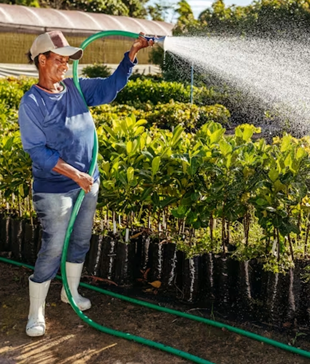 What Can Water Pumps Do for Me?
