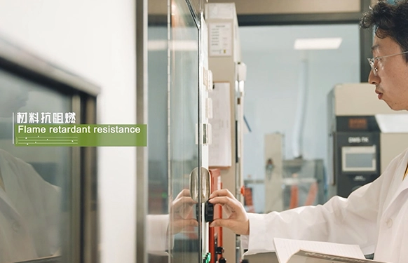 Flame Retardant Resistance